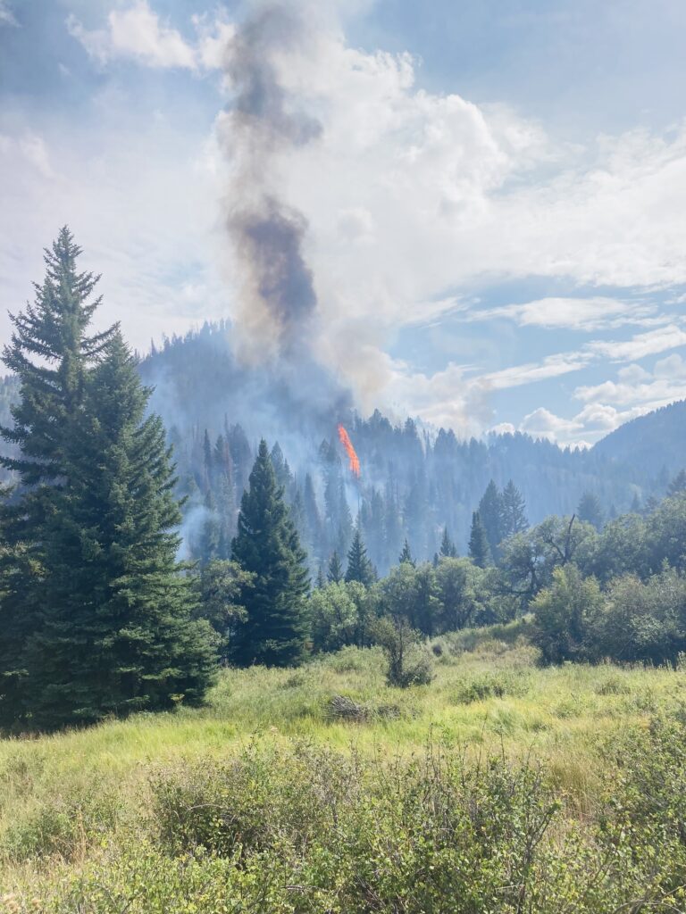 Pike Ridge Fire burns roughly 28 miles north of Loma, Colo.